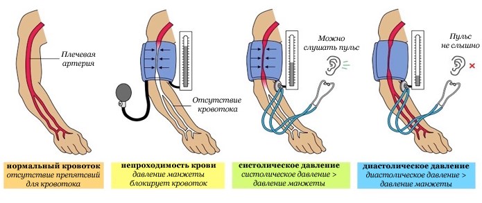 Изображение - Разница между верхним и нижним давлением raznitsa-mezhdu-sistolicheskim-i-diastolicheskim-davleniem-1